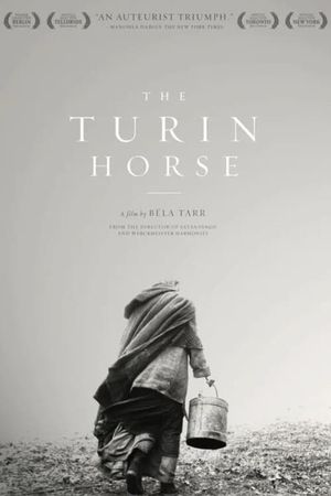 The Turin Horse's poster