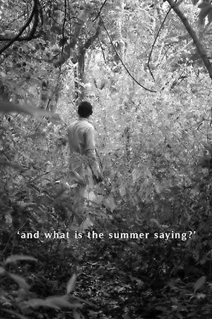 And What Is the Summer Saying's poster