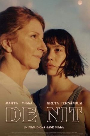 De nit's poster