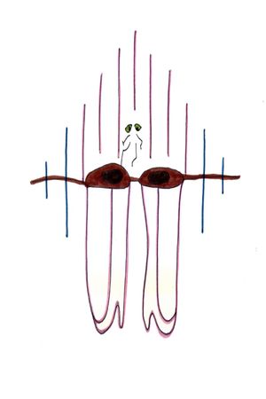 Big Brown Eyes's poster