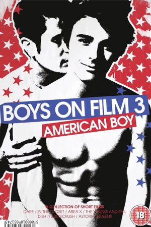Boys on Film 3: American Boy's poster