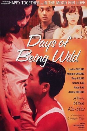 Days of Being Wild's poster