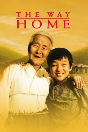 The Way Home's poster image