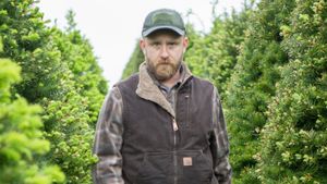 Leave No Trace's poster