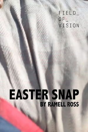 Easter Snap's poster
