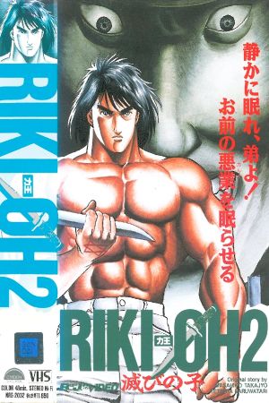 Riki-Oh 2: Child of Destruction's poster