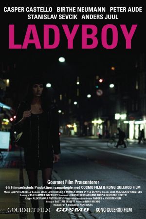 Ladyboy's poster
