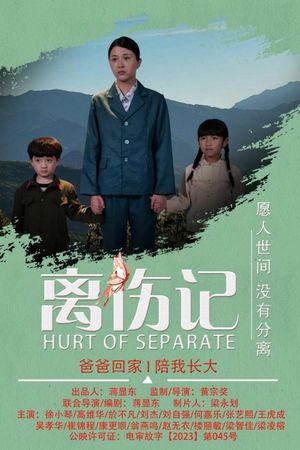 Hurt or Separate's poster