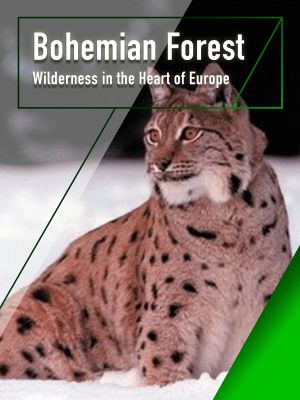 The Bohemian Forest - Wilderness in the Heart of Europe's poster