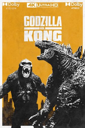 Godzilla vs. Kong's poster