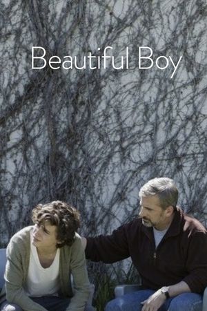 Beautiful Boy's poster