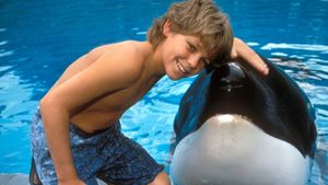 Free Willy's poster