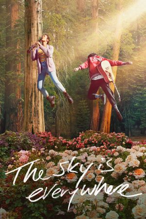 The Sky Is Everywhere's poster