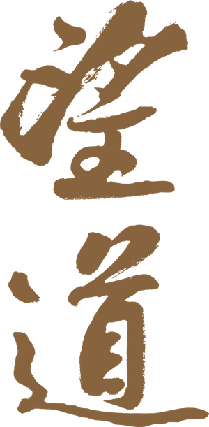 Manifesto's poster