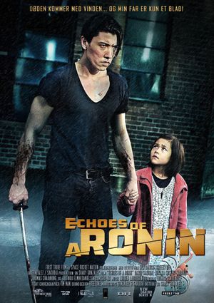 Echoes of a Ronin's poster