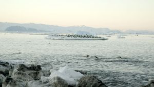 Antarctica: The Frozen Time's poster