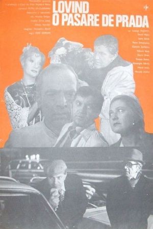 To Kill a Bird of Prey's poster