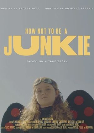 How Not to Be a Junkie's poster