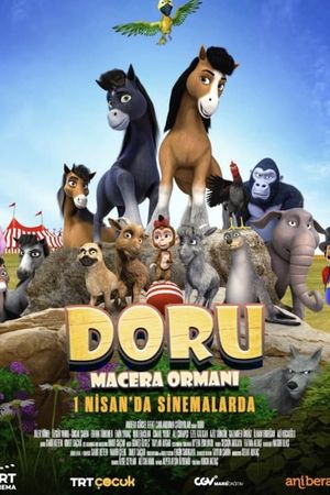 Doru: Macera Adasi's poster