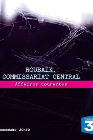 Roubaix commissariat central, affaires courantes's poster image