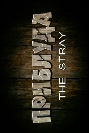 The Stray's poster