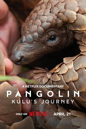 Pangolin: Kulu's Journey's poster