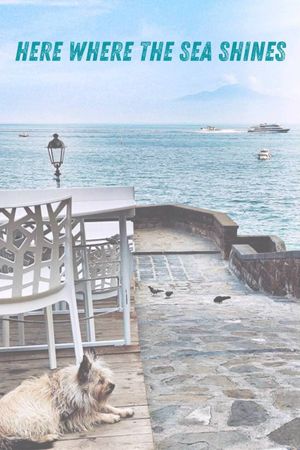 Here where the sea shines's poster