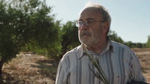 Camino de la suerte's poster