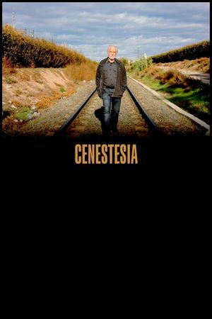 Cenestesia's poster