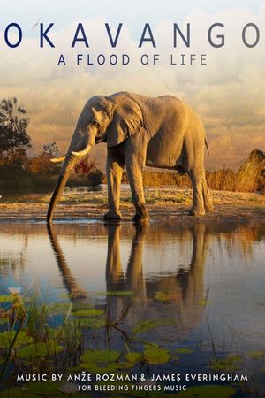 Okavango: A Flood of Life's poster