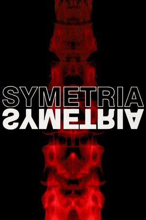 Symmetry's poster image