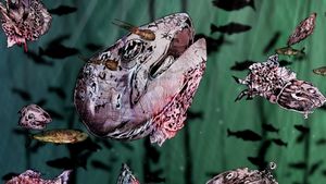 Salmon's poster
