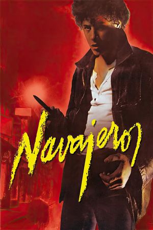 Navajeros's poster