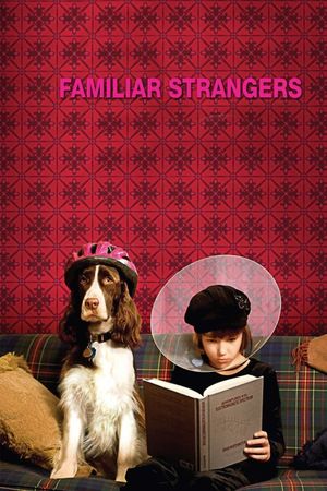 Familiar Strangers's poster