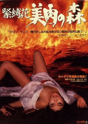 Kinbakuka: Biniku no Mori's poster