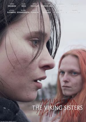 The Viking Sisters's poster
