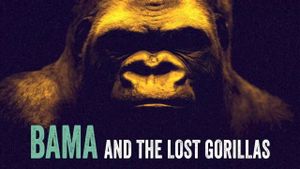 Bama and the Lost Gorillas's poster