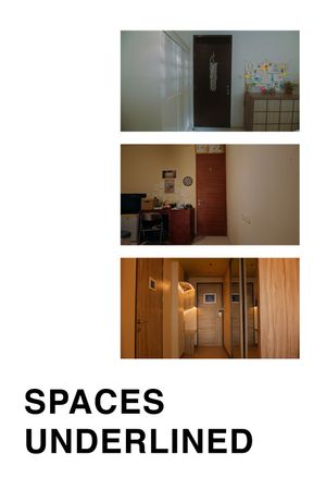 Spaces Underlined's poster