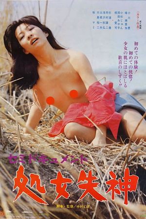 Semi-document: Shojo shisshin's poster