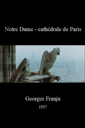 Notre Dame - cathédrale de Paris's poster