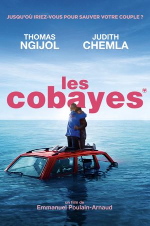 Les cobayes's poster