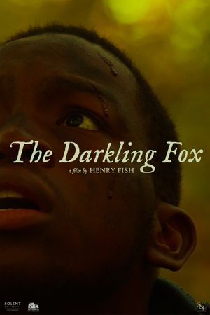 The Darkling Fox's poster