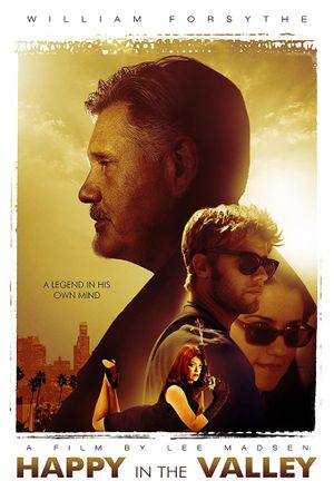 Happy in the Valley's poster