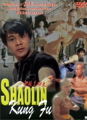Shaolin Kung Fu's poster
