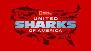 United Sharks of America's poster