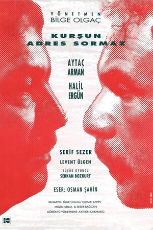 Kursun Adres Sormaz's poster