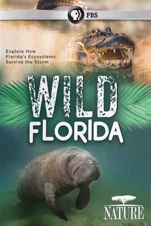 Wild Florida's poster
