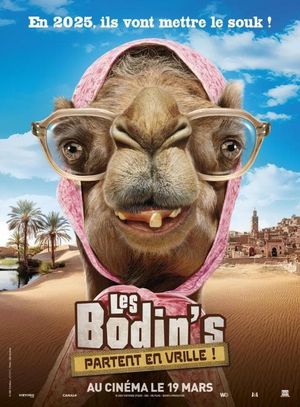 Les Bodin's partent en vrille's poster