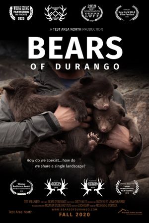 Bears of Durango's poster