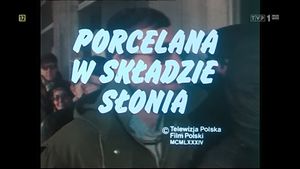 Porcelain in an Elephant's Shop's poster